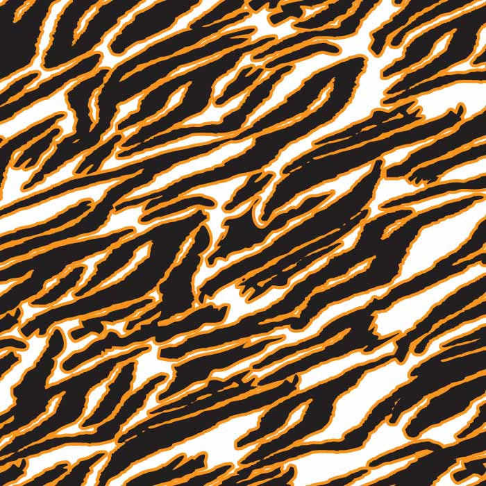 tiger pattern vector